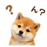 843107941