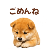 843107942
