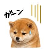 843107944