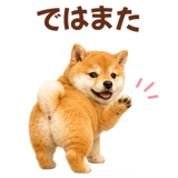 843107953