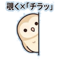 843108462