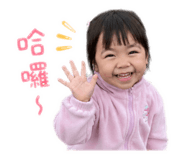 843111313