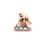 843111340