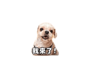 843111346