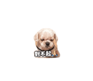 843111347
