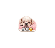 843111348