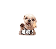 843111349