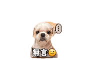 843111350