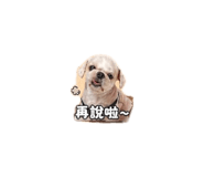 843111354