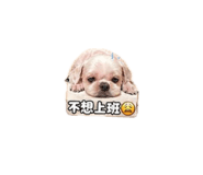 843111355