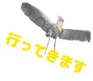 843112562