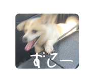 843112815