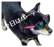 843113020
