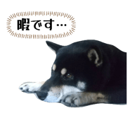 843113027
