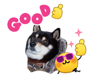 843113029