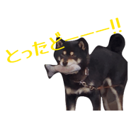 843113032
