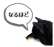 843113037