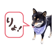 843113038