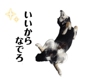 843113051