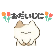 843113365
