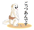 843113993