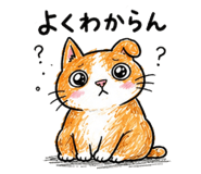 843114605