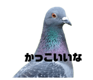 843115121