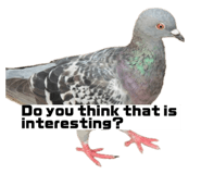 843115122