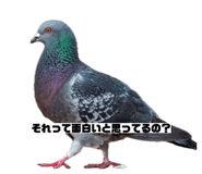 843115123