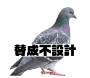 843115125