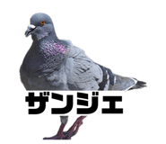 843115126