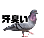 843115127
