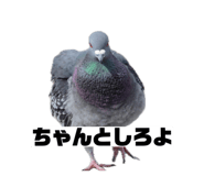 843115128