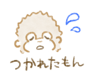 843116342