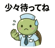 843116538