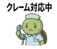 843116557