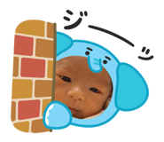 843116818
