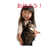 843116825