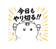 843116833