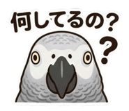 843116901