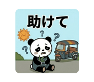 843116956