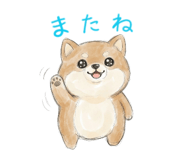 843117069