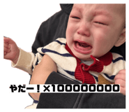 843117086