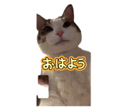 843117180
