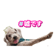 843117184