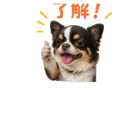 843117541