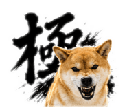 843117664