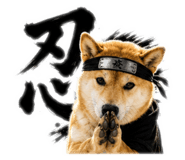843117665