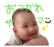 843117684