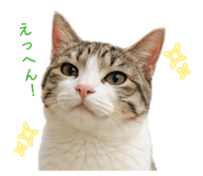 843118200